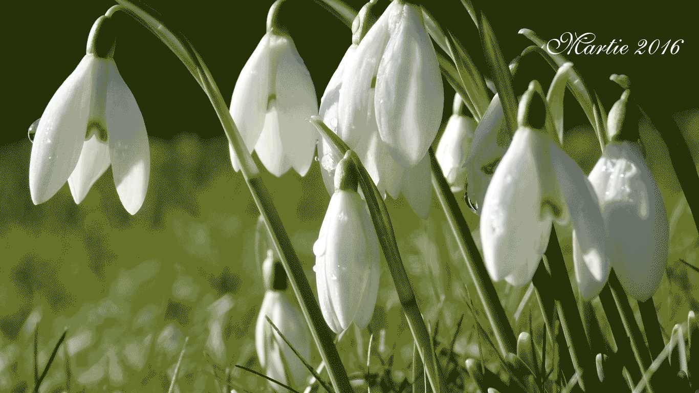 MARTIE 2016 – LA MULTI ANI! - din partea administratorului de site