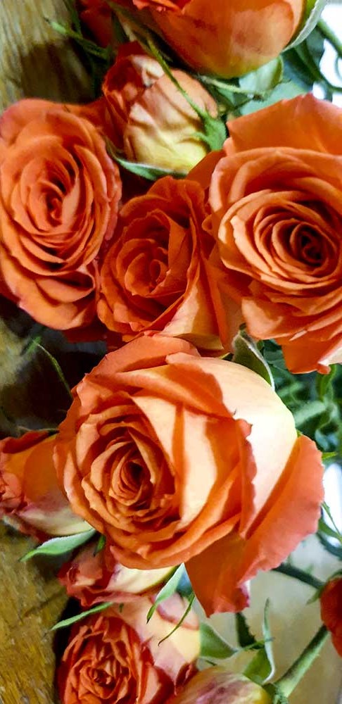 Elena Varvara Iurkiewicz - „Boabe de smirnă” - miniexpoziţie personală - (09 - 27 septembrie 2019) - Biblioteca Metropolitana (Mihail Sadoveanu) Bucuresti (9) Elena Varvara Iurkiewicz - „Boabe de smirnă” - miniexpoziţie personală - (09 - 27 septembrie 2019) - Biblioteca Metropolitana (Mihail Sadoveanu) Bucuresti (9)