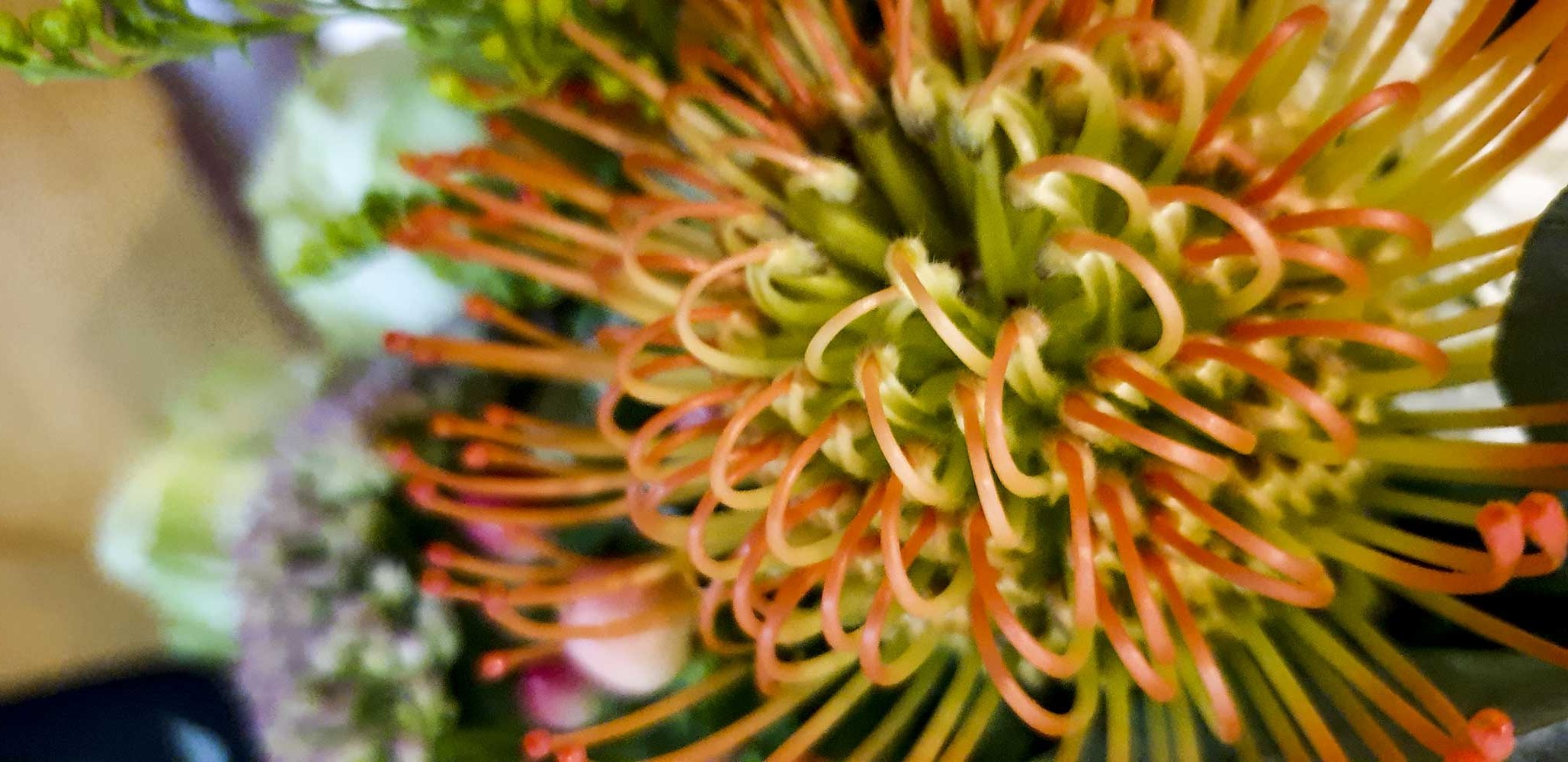 Elena Varvara Iurkiewicz - „Boabe de smirnă” - miniexpoziţie personală - (09 - 27 septembrie 2019) - Biblioteca Metropolitana (Mihail Sadoveanu) Bucuresti (27) Elena Varvara Iurkiewicz - „Boabe de smirnă” - miniexpoziţie personală - (09 - 27 septembrie 2019) - Biblioteca Metropolitana (Mihail Sadoveanu) Bucuresti (27)